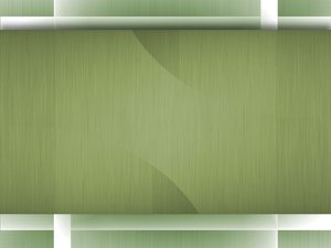 价格监测